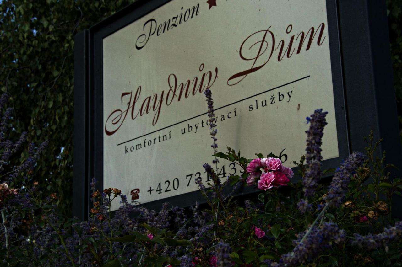 Penzion Haydnuv Dum Dolní Lukavice Exteriör bild